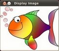 _images/Display_Image_Tutorial_Result.jpg