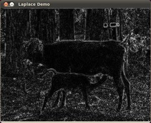 _images/Laplace_Operator_Tutorial_Result.jpg