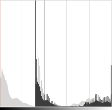 In light gray, histogram of the original image, in dark gray when brightness = 80 in Gimp